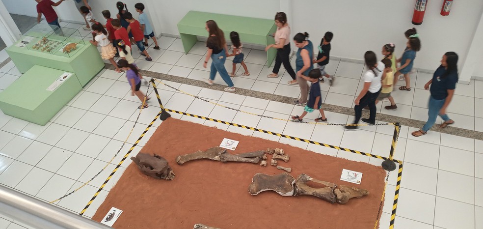 Museu Câmara Cascudo abre 'Primavera dos Museus' nesta quarta-feira (20) — Foto: Divulgação