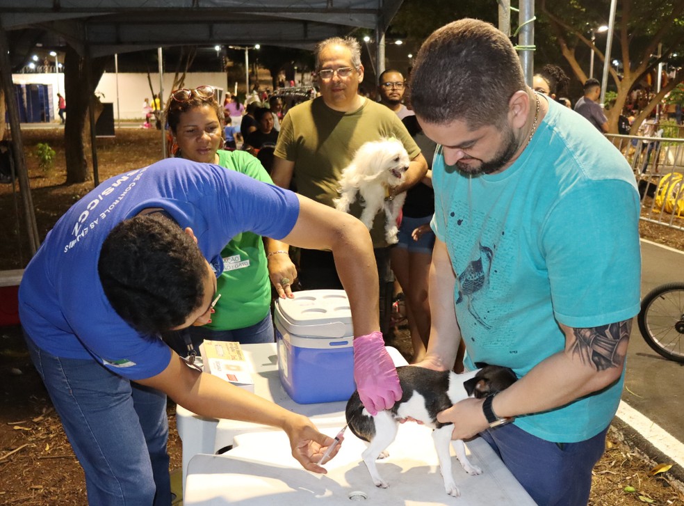 Dia D da vacinação antirrábica acontece neste sábado (21) em Natal; confira locais — Foto: Secretaria Municipal de Saúde (SMS)