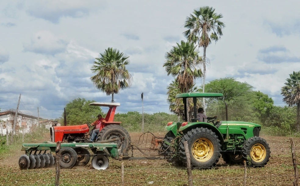 Setor agropecuário foi o que mais contratou no RN em agosto — Foto: Wilson Moreno/PMM