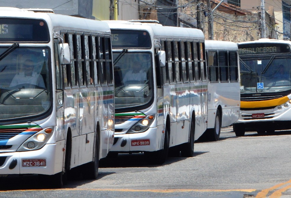 Ônibus em Natal — Foto: STTU/Divulgação