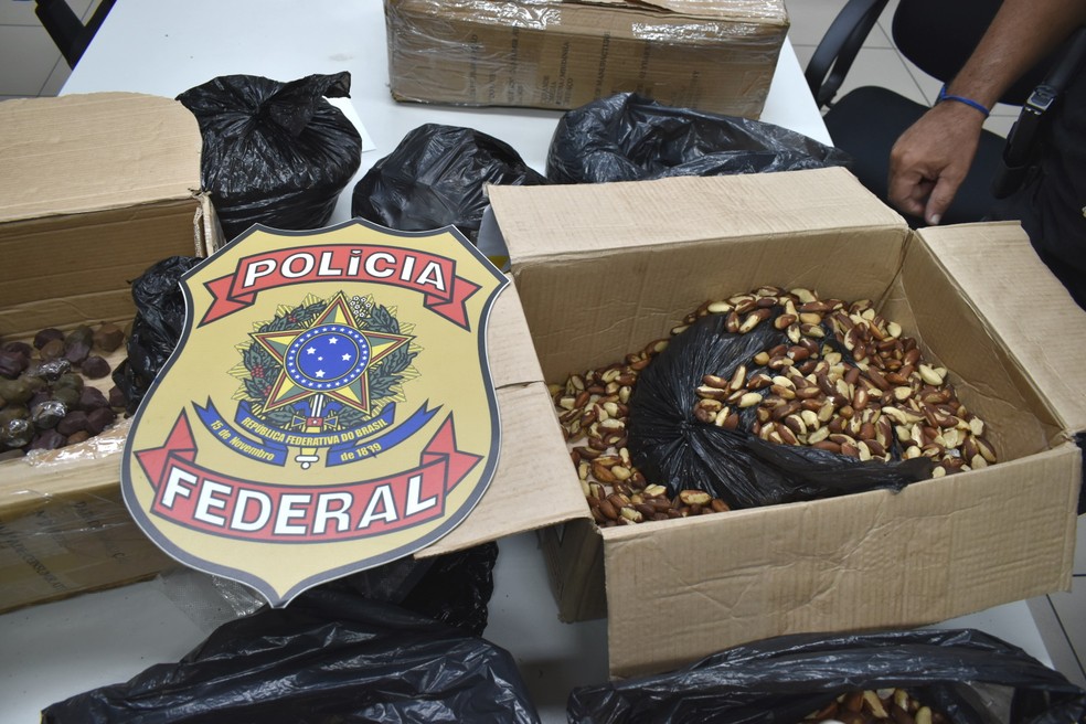 Casal é preso após receber 5 quilos de crack pelos Correios na Grande Natal — Foto: Polícia Federal/Divulgação