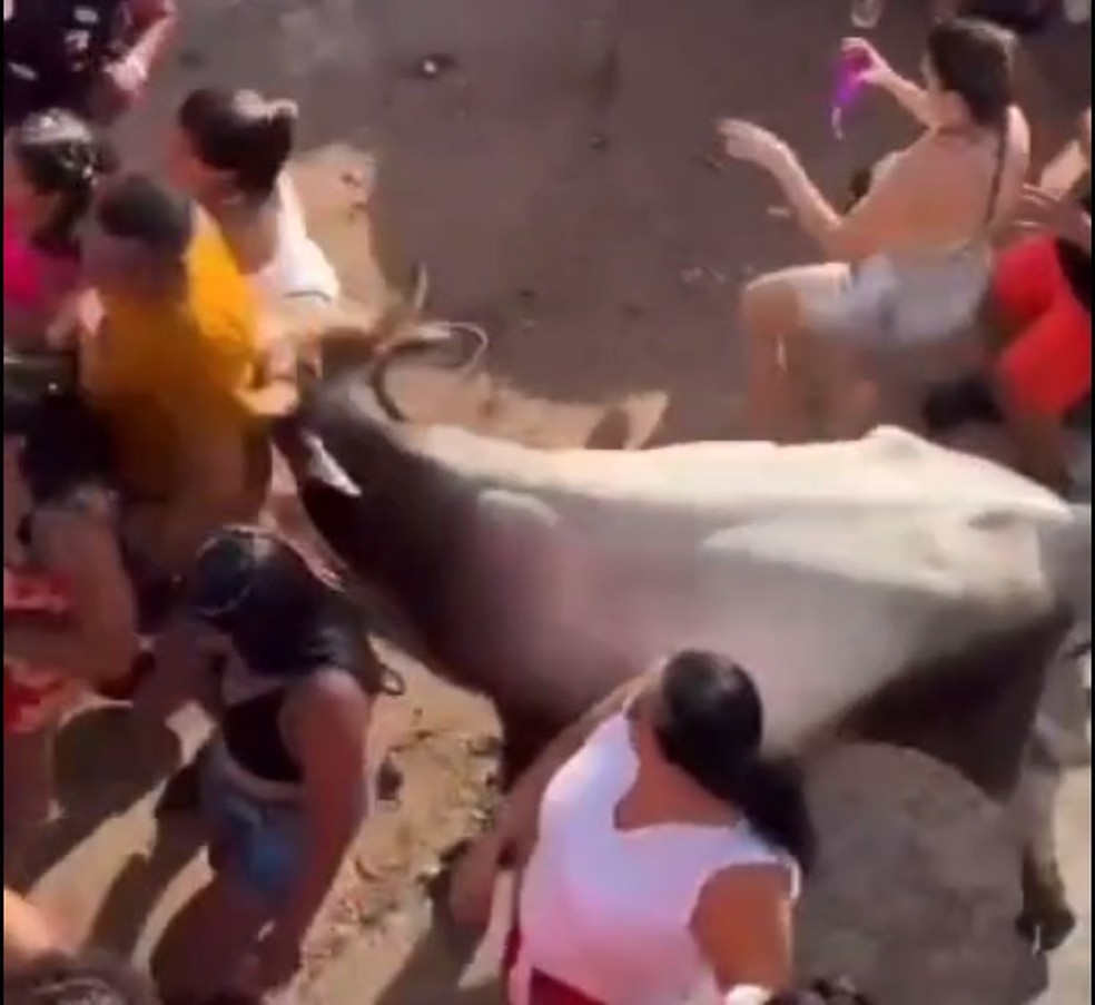 Vaca atinge foliões durante o carnaval em Pendências — Foto: Reprodução