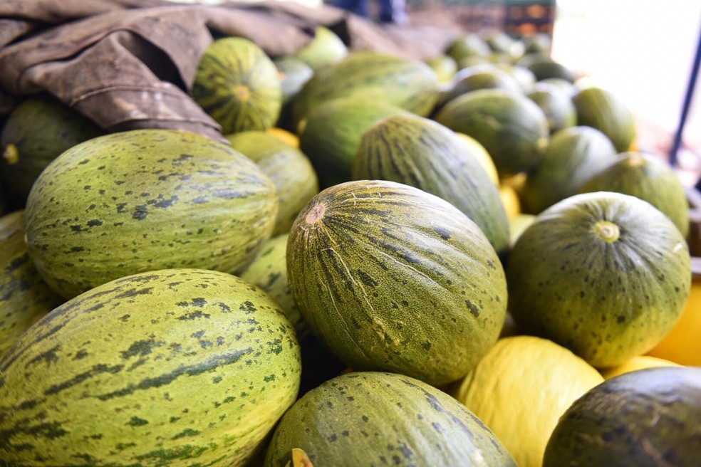 Rio Grande do Norte pode triplicar exportação de melão para o Chile — Foto: Elisa Elsie