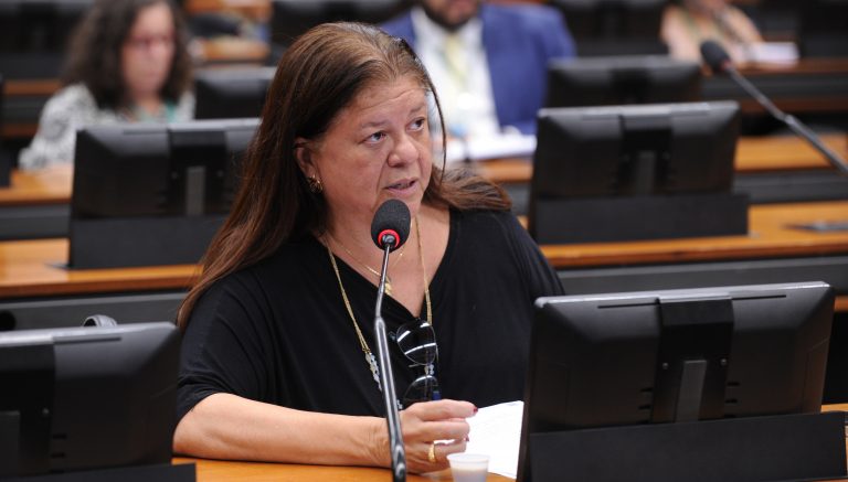 Deputada Laura Carneiro (PSD-RJ) fala em comissão da Câmara dos Deputados