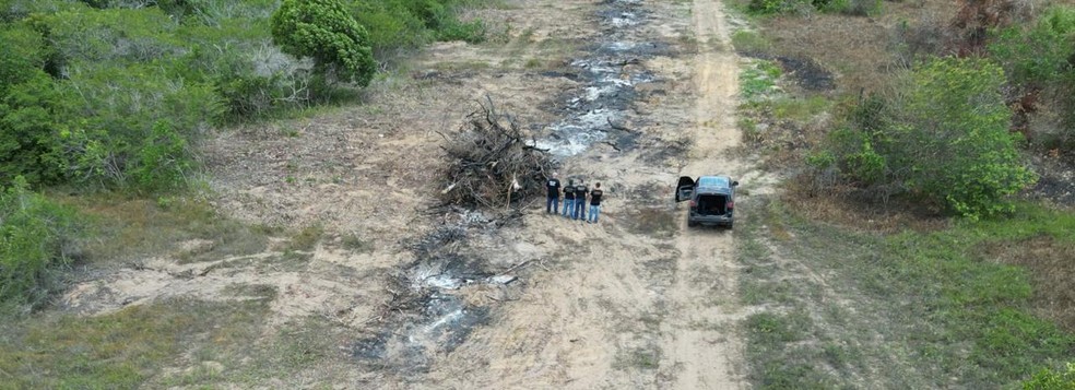 Desmatamento em área de preservação ambiental no interior do RN é investigado pela Polícia Federal — Foto: PF/Divulgação