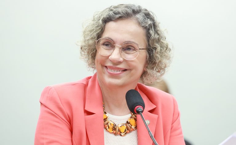 Audiência Pública - Orçamento Público em Relação à Infância, com Foco na Prevenção e Resposta à Violência. Dep. Ana Paula Lima (PT-SC)