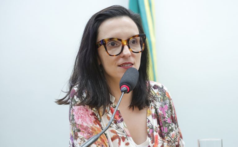 Deputada Ana Pimentel fala ao microfone