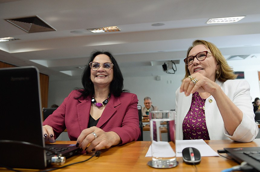 Bancada:
senadora Damares Alves (Republicanos-DF); 
senadora Zenaide Maia (PSD-RN).
