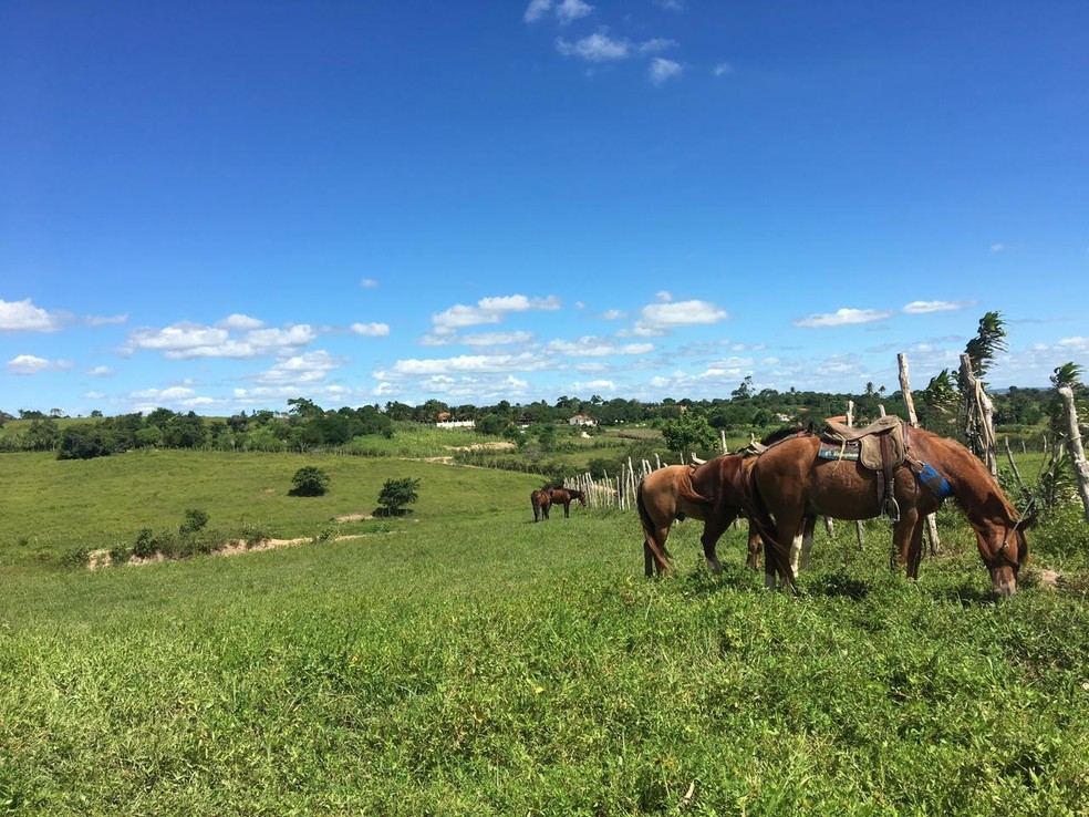 Zona rural de Solânea, no Brejo da Paraíba — Foto: Erickson Nogueira/g1