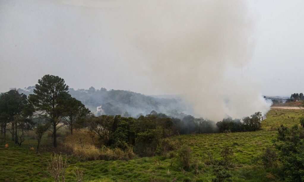 São Paulo (SP) 24/08/2024 - Foco de incêndio próximo a rodovia presidente Castelo Branco, o governo de São Paulo cria gabinete de crise para combate a incêndios
Estradas são interditadas e 30 municípios estão em alerta máximo
Foto: Paulo Pinto/Agência Brasil