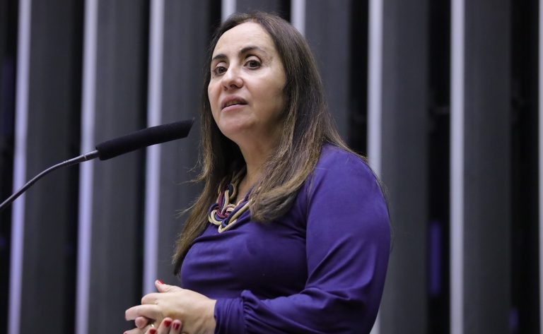 Discussão e votação de propostas legislativas. Dep. Adriana Ventura (NOVO - SP)