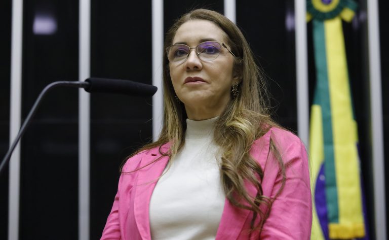 Discussão e votação de propostas legislativas. Dep. Sonize Barbosa (PL - AP)