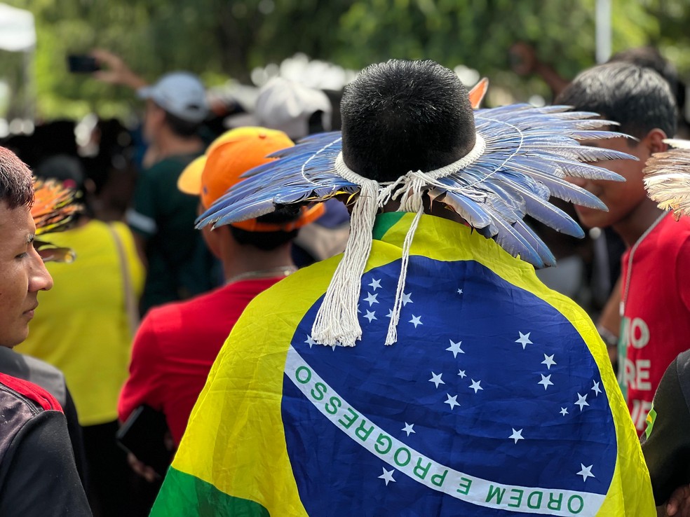 Indígena com a bandeira do Brasil  — Foto: Caíque Rodrigues/g1 RR