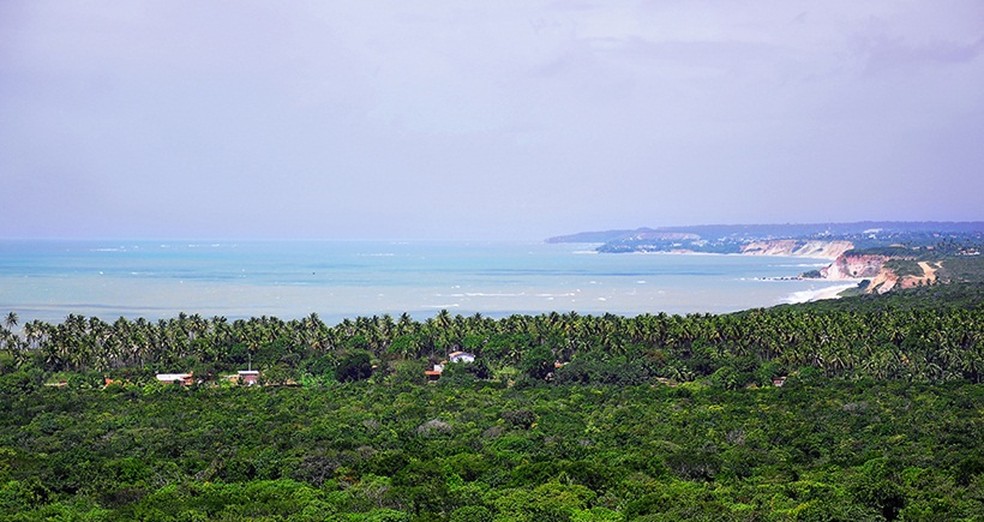 Praia de Jacarapé, Zona Sul de João Pessoa, na Paraíba — Foto: Kleide Teixeira/Arquivo Pessoal