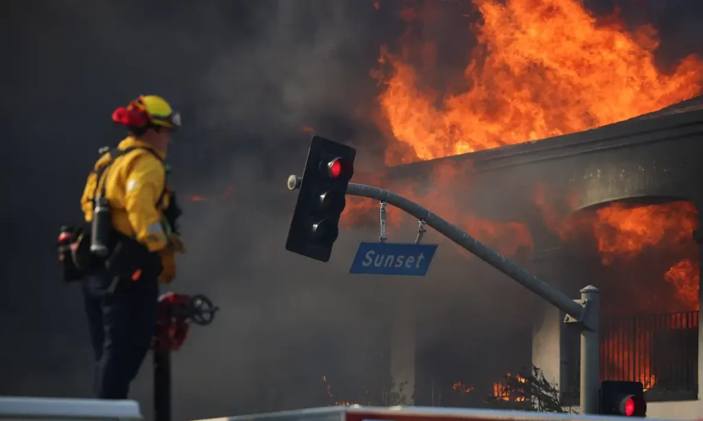 Bombeiro enfrenta fogo no bairro de Pacific Palisades, lado oeste de Los Angeles
08/01/2025
REUTERS/Daniel Cole