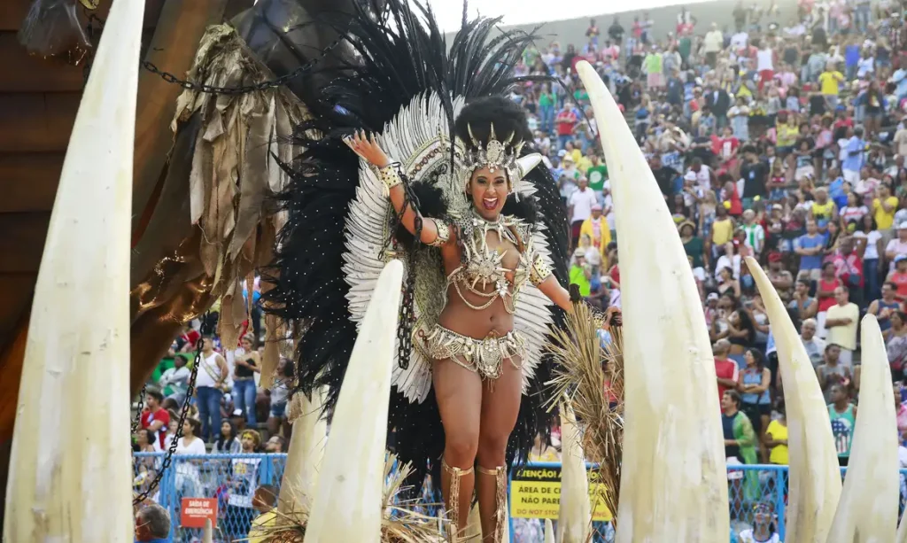 Desfile da Unidos da Tijuca no Carnaval 2019 no Rio de Janeiro