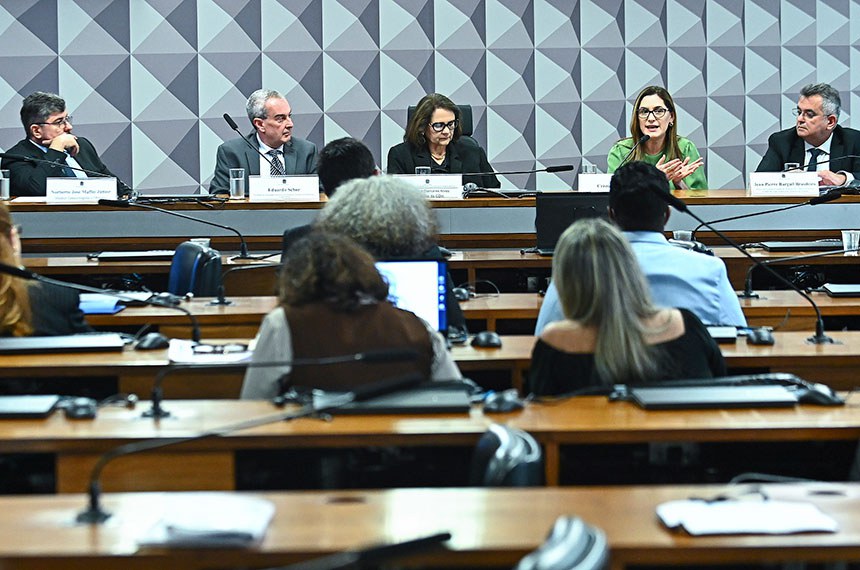 Mesa: 
médico ginecologista e obstetra Norberto José Maffei Junior;
presidente da Sociedade Brasileira de Pesquisa e Ensino em Medicina (Sobrapem), Eduardo Schor;
presidente da CDH, senadora Damares Alves (Republicanos-DF);
advogada e ex-ministra da Mulher, Família e Direitos Humanos, Cristiane Britto;
médico da Secretaria Estadual de Saúde do Distrito Federal e diretor do Instituto Verhum, Vídeo Endoscopia e Reprodução Humana, Jean Pierre Barguil Brasileiro.