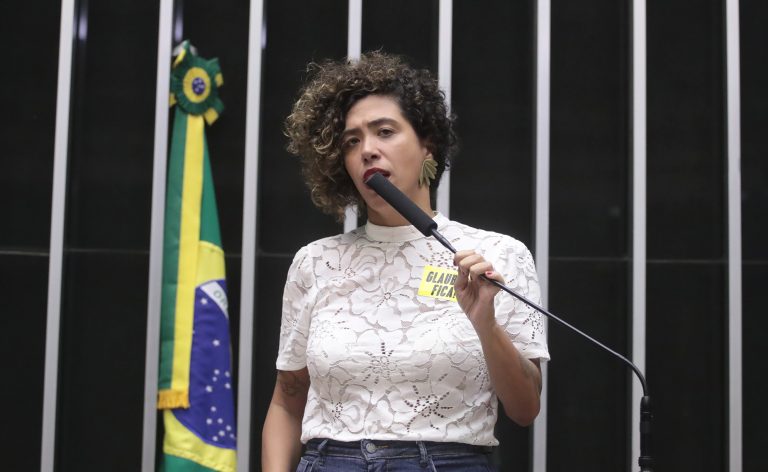 Discussão e votação de propostas legislativas. Dep. Talíria Petrone (PSOL-RJ)