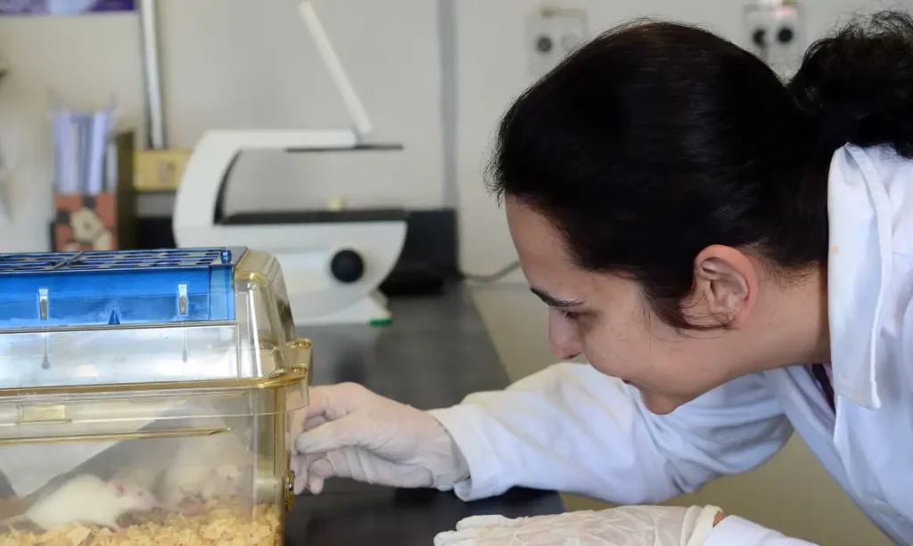 São Paulo - Pesquisadores Jean Pierre Schatzmann Peron e Patricia Baleeiro Beltrão Braga falam sobre pesquisa da USP referente ao Zika virus  (Rovena Rosa/Agência Brasil)