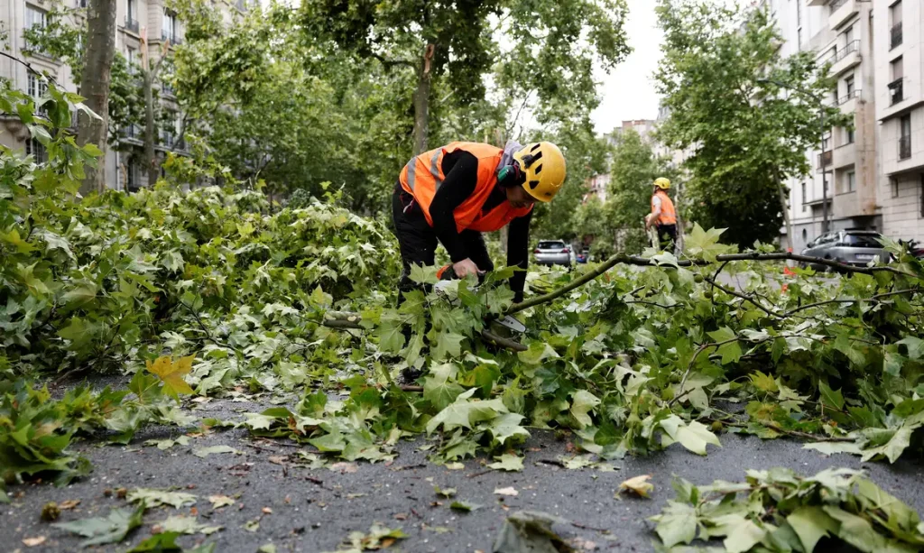 Workers remove broken tree branches in a street the day after a heavy storm hit Paris, France, June 26, 2025. REUTERS/Benoit Tessier