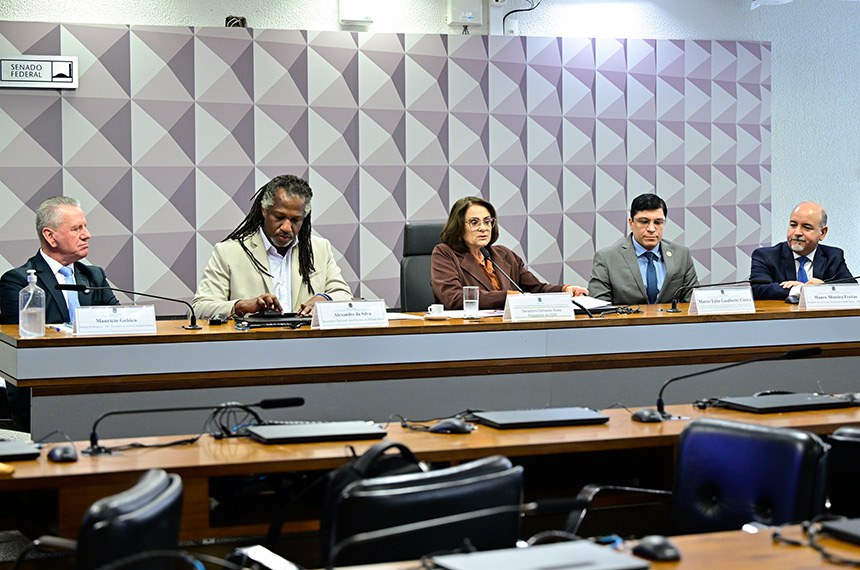 Mesa: 
prefeito de Paranavaí (PR) e presidente do Instituto Mauricio Gehlen, Maurício Gehlen;  
secretário Nacional dos Direitos da Pessoa Idosa, Alexandre da Silva;
presidente da CDH, senadora Damares Alves (Republicanos-DF);
presidente da Sociedade Brasileira de Geriatria e Gerontologia (SBGG), Marco Túlio Gualberto Cintra;
presidente da Associação Brasileira de Cidadão Sênior (Abracs), Mauro Moreira Freitas.