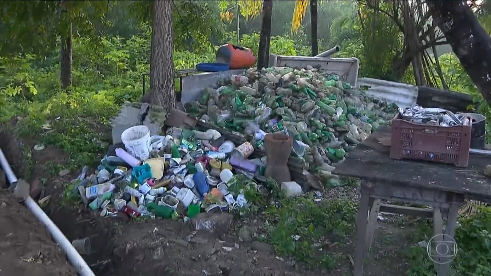 Pescadores 'pescam lixo' em mangue da Região Metropolitana de João Pessoa — Foto: Jornal Nacional/Reprodução