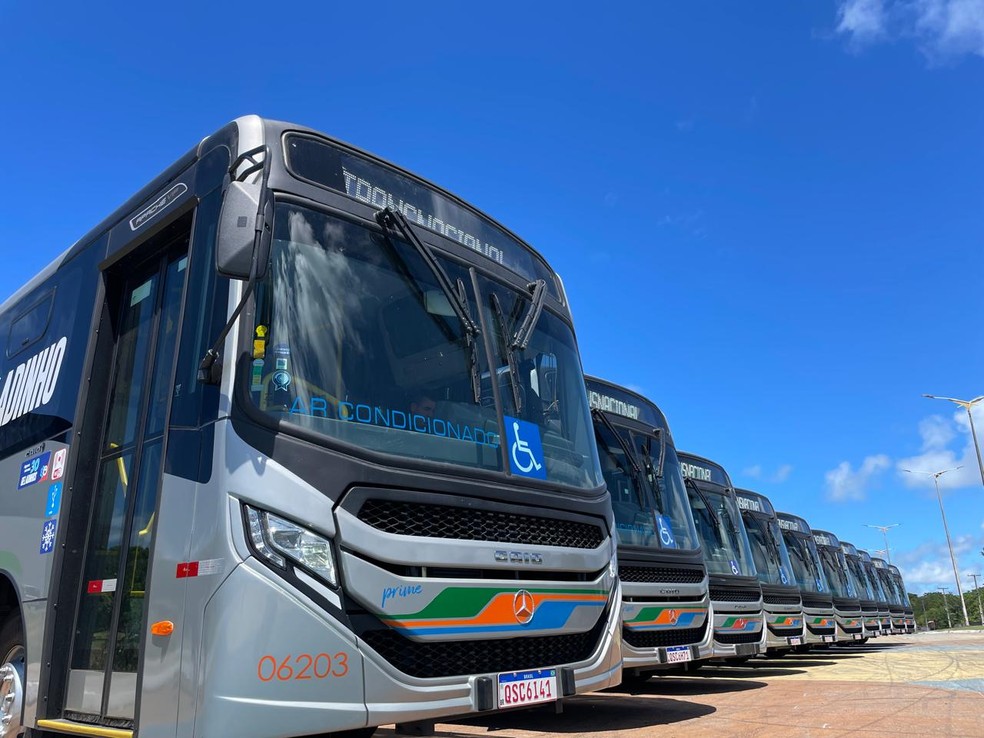 Novos “Geladinhos” entregues em 2025. Frota foi ampliada em 50% — Foto: Sintur-JP