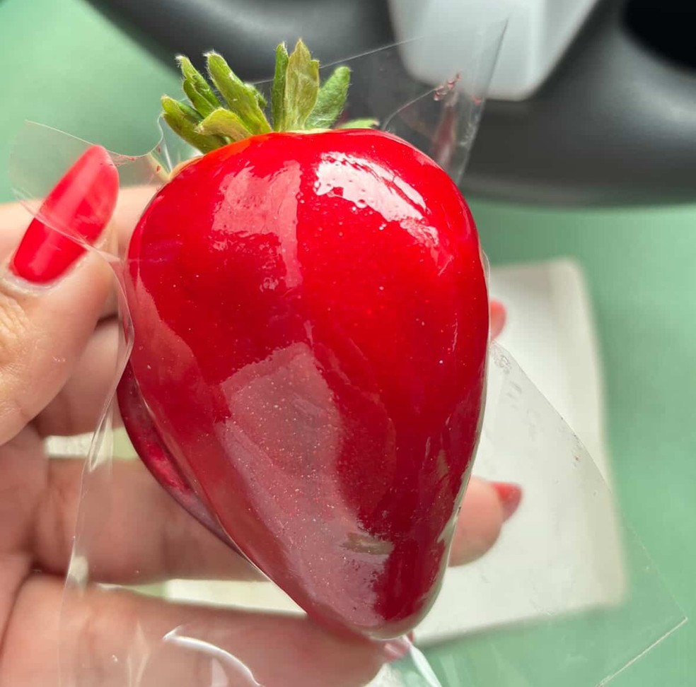 Carol produz até 750 morangos por dia — Foto: Cedida