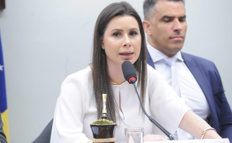 Audiência Pública - Combate a Crimes Cibernéticos contra Crianças e Adolescentes. Dep. Caroline de Toni (PL - SC)