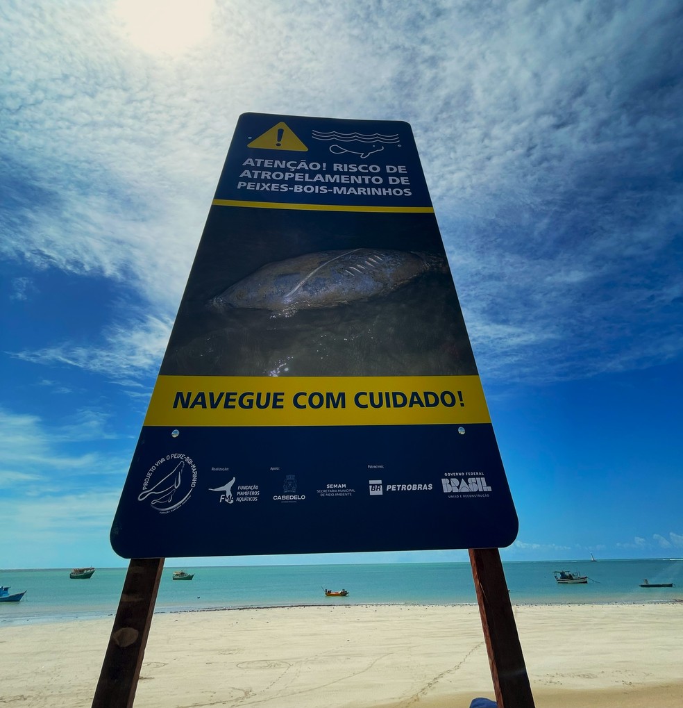 Placa alerta sobre risco de atropelamento de peixe-boi-marinho na orla de Cabedelo — Foto: Reprodução/Seman Cabedelo