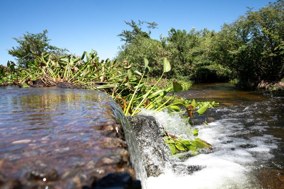 Águas da transposição do Rio São Francisco chegaram ao RN nesta quarta-feira (13) — Foto: Joana Lima