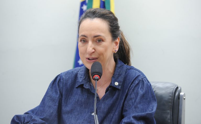 Deputada Rosângela Moro (União-SP) fala em comissão da Câmara dos Deputados