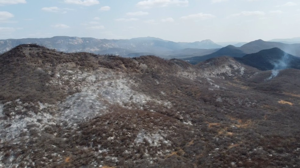 Incêndio florestal no Sertão da Paraíba já consumiu 40% da vegetação nativa em serra — Foto: Beto Silva/TV Paraíba