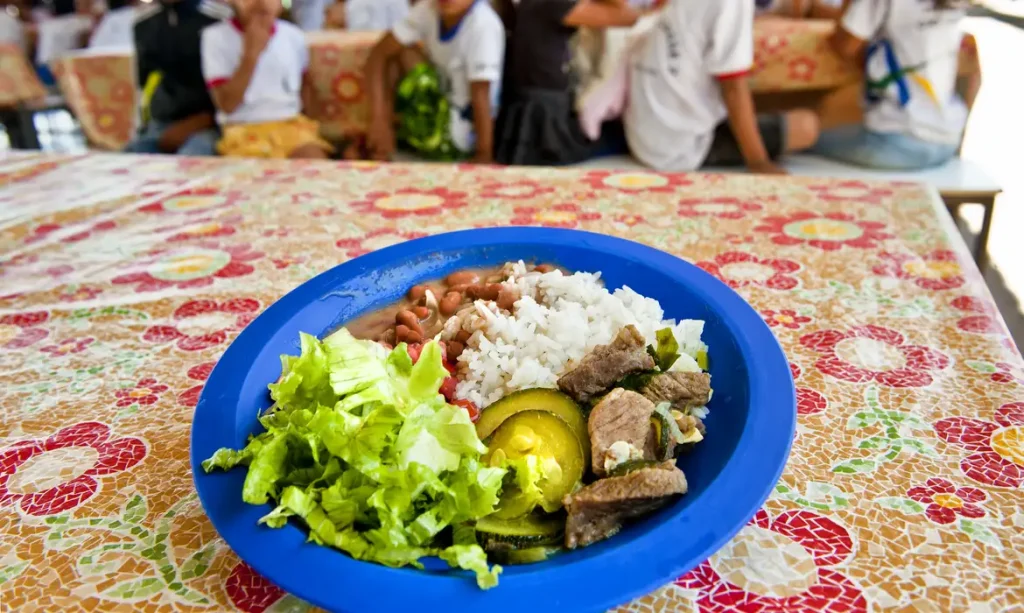 Merenda escolar -  Ministério do Desenvolvimento e Assistência Social, Família e Combate à Fome