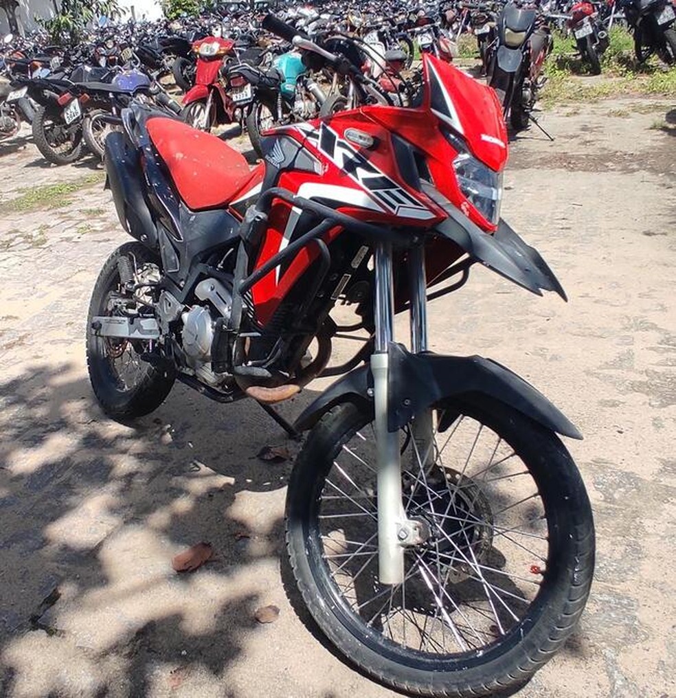 Maioria dos veículos são motocicletas, mas também há caminhonetes, automóveis, ciclomotores e motonetas. — Foto: Divulgação/Detran-PB