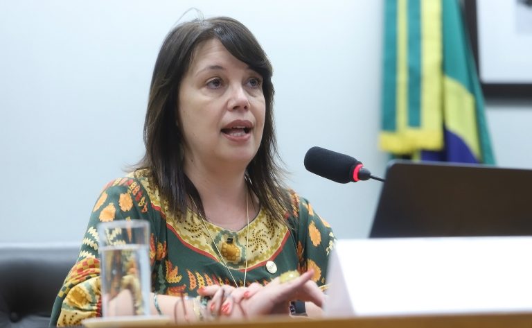 Audiência Pública - Impacto das redes sociais e telas na saúde mental de crianças e adolescentes. Coordenadora do Comitê Gestor da Internet no Brasil - CGI.br - Coordenadoria do Comitê Gestor da Internet no Brasil - CGI.br, Renata Mielli