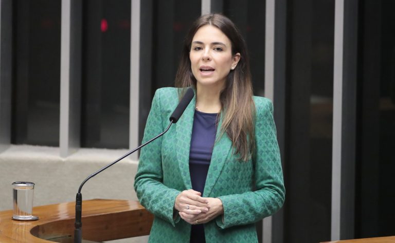 Homenagem ao Dia Nacional do Empreendedor e ao Simples Nacional. Dep. Any Ortiz (CIDADANIA - RS)