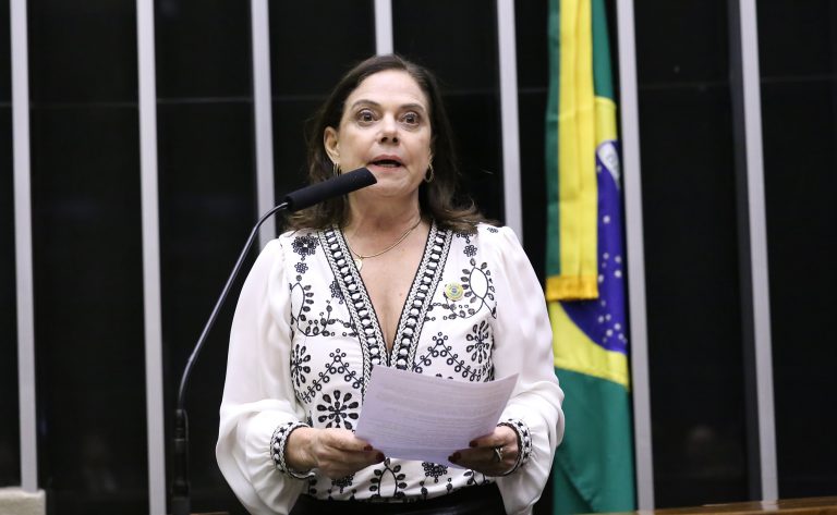 Discussão e votação de propostas legislativas. Dep. Soraya Santos (PL-RJ)