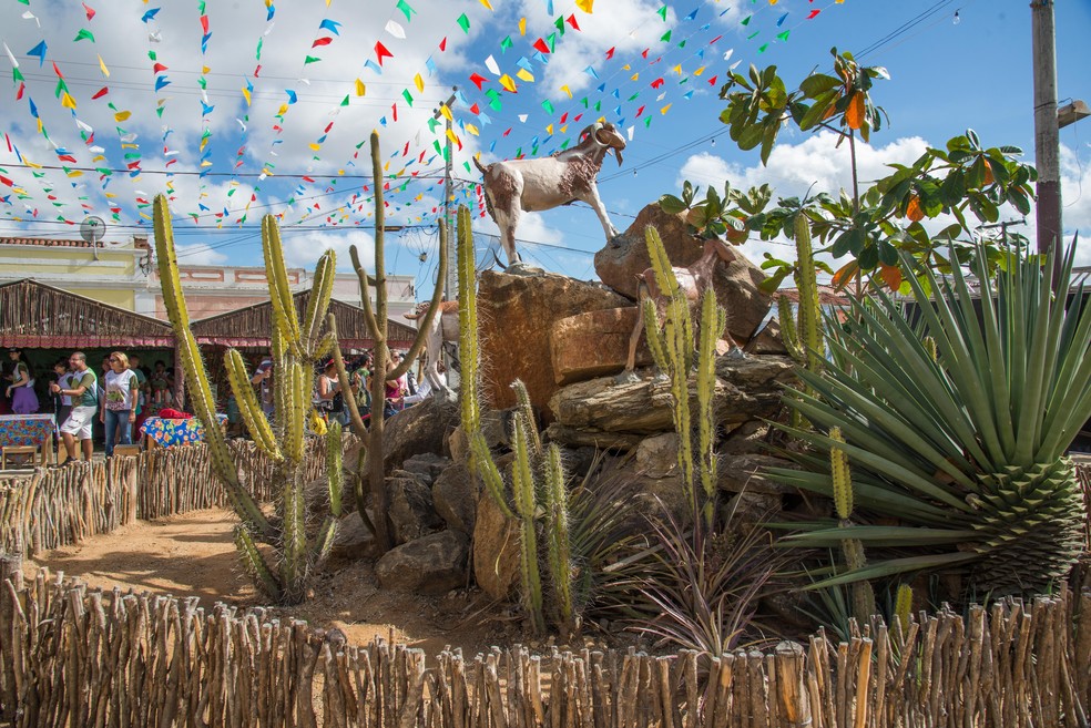 Cabaceiras, PB, é referência em caprinocultura e produção de couro — Foto: Divulgação