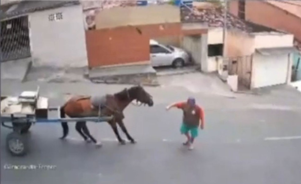 Momento em que cavalo se acidentou após não suportar peso de carroça, em Campina Grande, — Foto: TV Paraíba/Reprodução