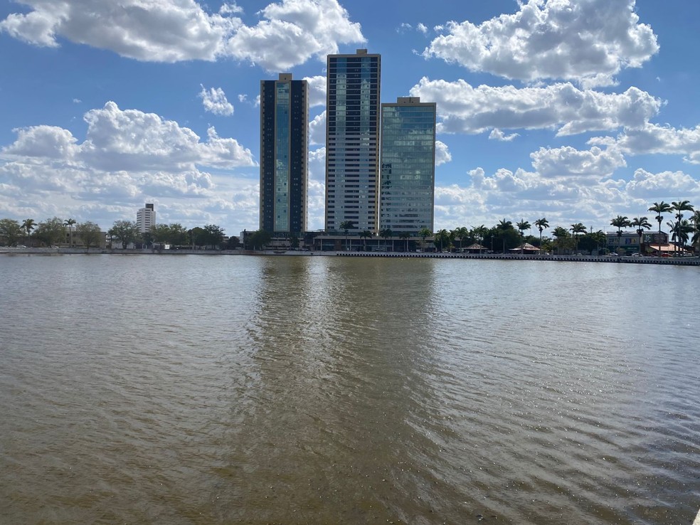 Mais de 10 toneladas de peixes mortos já foram retiradas do Açude Velho, em Campina Grande — Foto: Artur Lira/TV Paraíba