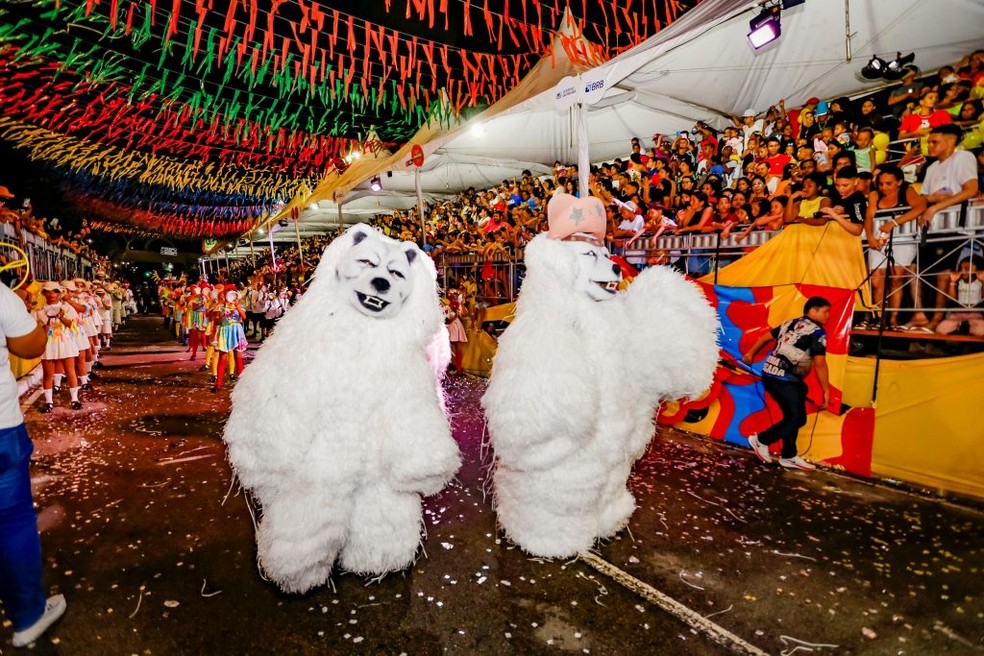Ursos no desfile de Ala Ursas no Carnaval Tradição 2024 de João Pessoa — Foto: Daniel Silva/Divulgação