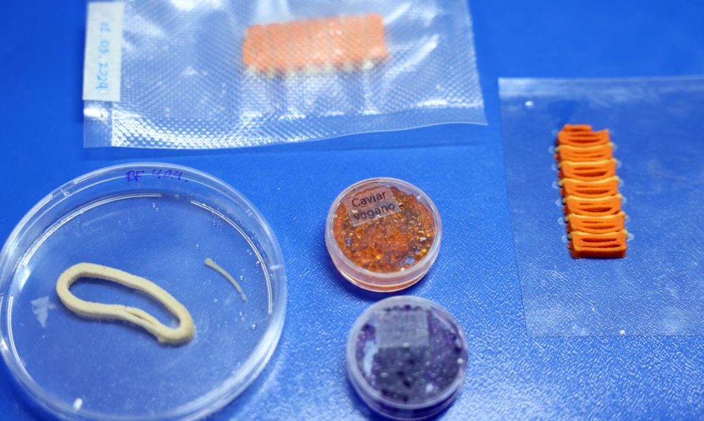 Brasília (DF), 26/05/2026 - O laboratório de nanotecnologia da Embrapa produz em caráter experimental substitutos veganos de carne vermelha, salmão e lula por meio de uma impressora carregada de massa feita do extrato de sementes. Foto: Valter Campanato/Agência Brasil