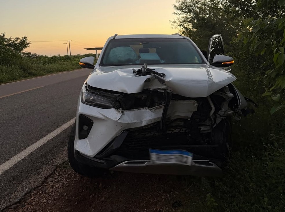 Carro de deputado atingiu animal na BR-405 no RN — Foto: Redes sociais