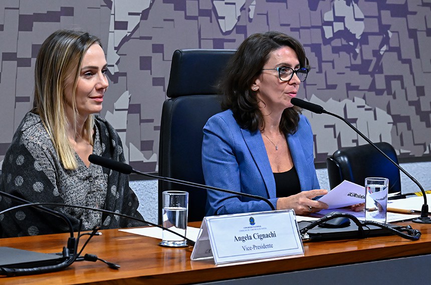 Mesa:
vice-presidente da CCS, Angela Cignachi;
presidente da CCS, Patrícia Blanco, em pronunciamento.