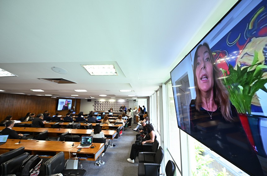 Mesa: 
presidente da CDH, senadora Damares Alves (Republicanos-DF).