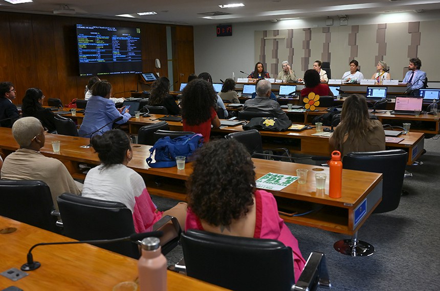 Mesa:
diretora de Articulação Interfederativa da Secretaria de Gestão do Sistema Nacional de Promoção da Igualdade Racial (MIR), Isadora Bispo dos Santos;
secretária nacional dos Direitos da Criança e do Adolescente (MDH), Maria do Pilar Lacerda Almeida e Silva;
presidente da CMCVM, deputada Luizianne Lins (PT-CE);
presidente do Conselho Nacional dos Direitos da Criança e do Adolescente (Conanda), Deila do Nascimento Martins Cavalcanti;
conselheira Nacional dos Direitos da Mulher (CNDM), Alison Regina Mazza Lubascher;
secretário executivo da Coalizão Brasileira pelo Fim da Violência contra Crianças e Adolescentes, Lucas José Lopes.