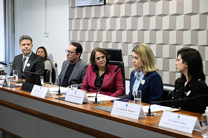 Mesa: 
superintendente de Orientação aos Investidores e Finanças Sustentáveis da Comissão de Valores Mobiliários (SOI/CVM), José Alexandre Cavalcanti Vasco;
superintendente de Sustentabilidade, Inovação e Educação da Associação Brasileira das Entidades dos Mercados Financeiro e de Capitais (Ambima), Marcelo Billi Bernardo;
presidente eventual da CE, senadora Damares Alves (Republicanos-DF);
superintendente de Negócios para Pessoas Físicas da B3, Christianne Bariquelli;
professor, escritor e Analista Certificado Nacional do Profissional de Investimento (CNPI), Eduardo Mira.
