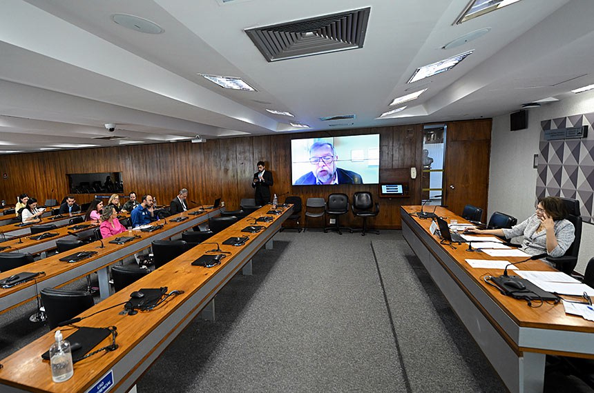 Mesa: 
presidente da CDH, senadora Damares Alves (Republicanos-DF).