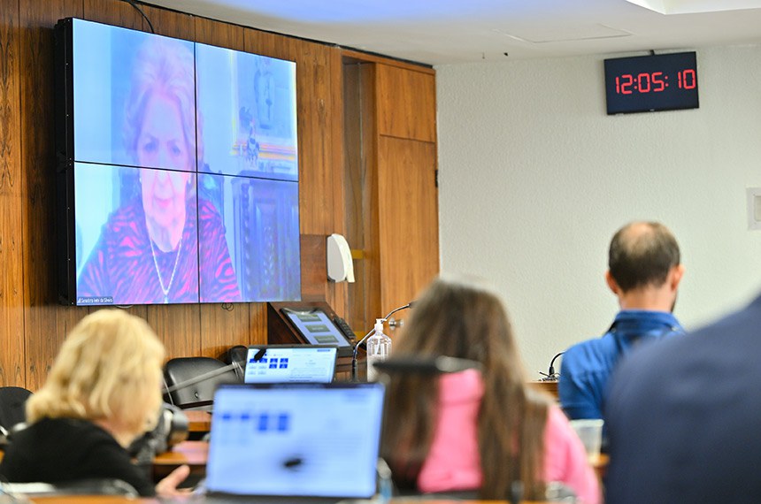 Tela exibe, senadora Ivete da Silveira (MDB-SC) via videoconferência.